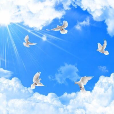 Tranh Dán Trần 3D mã 38580